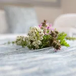 Alma Hills * Gialova
