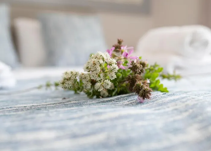 Alma Hills * Gialova